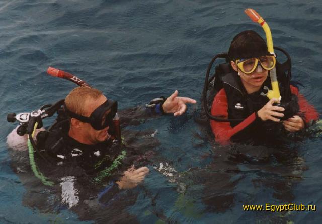 ������ ��� ��������