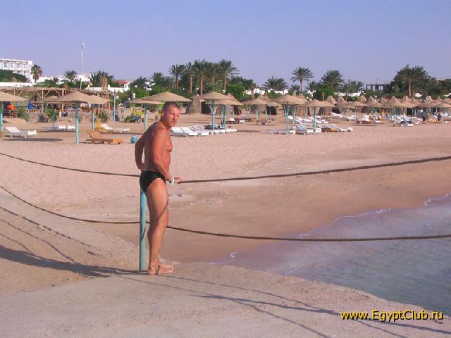 ����� ���� ������