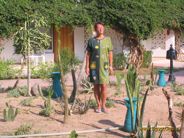 ����� ���� ������