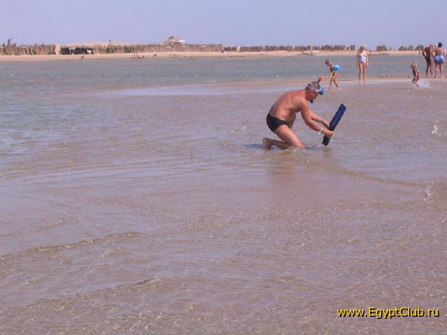 ����� ���� ������