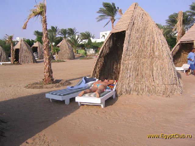 ����� ���� ������