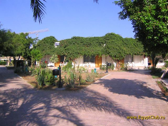 ����� ���� ������