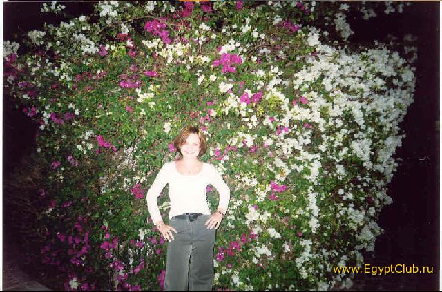 � �� ��������� ����� �������!!