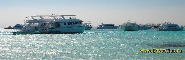 �� ����� ������� ���