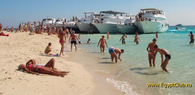 ������ ���