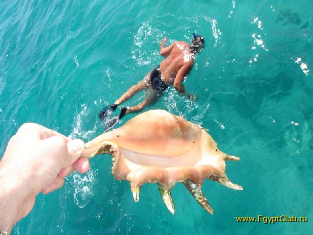 ����� ���������� ����� � ���� ����� ����� ����� ������� ����� ��������