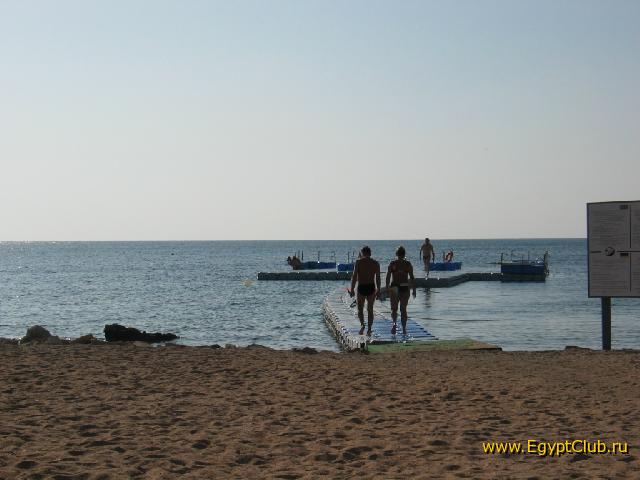 ������ � �������-������