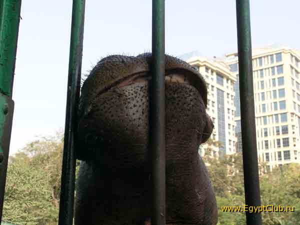 ������� � �����