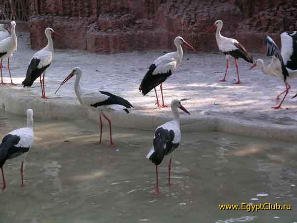 ������� � �����