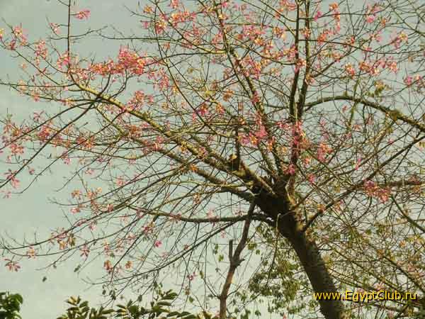 ������� � �����