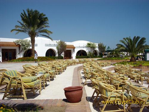 � ��������