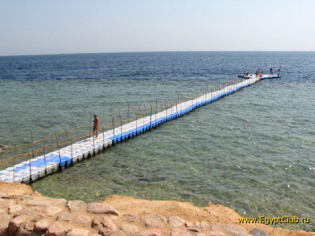 ������-�����_ ���