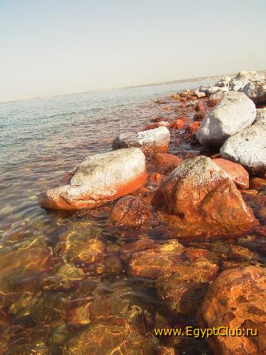 ������� �����