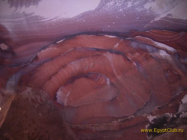 ���� ����������