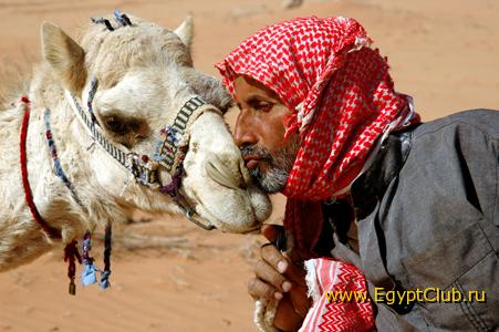 ��� ���� ������ ?