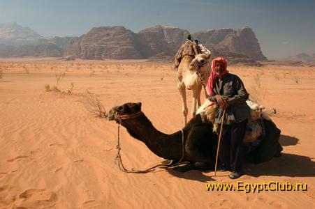 ����� �����.