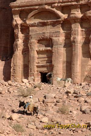 ,,�����������,,