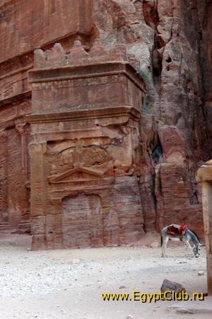 ���������� ���