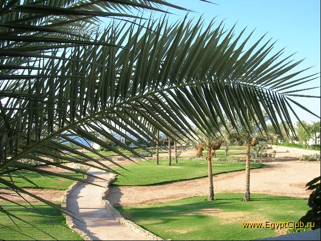 ��� �� ����