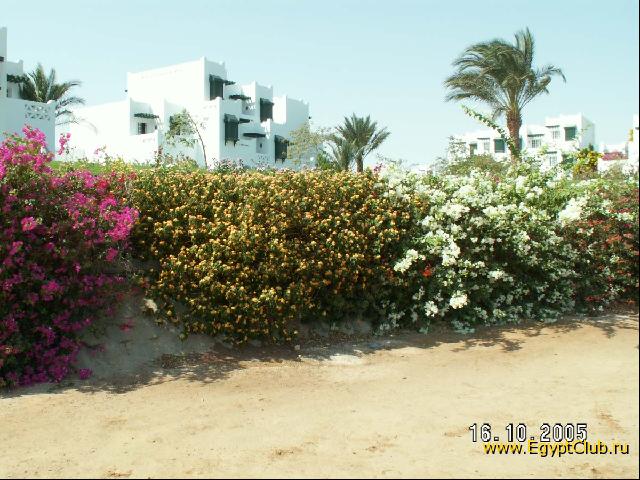 ������� ����� ��� � �����