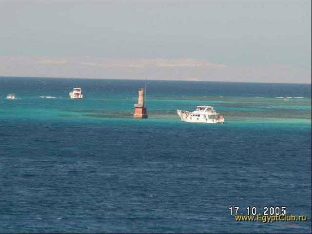 ��� � ������� ��������� Felfela