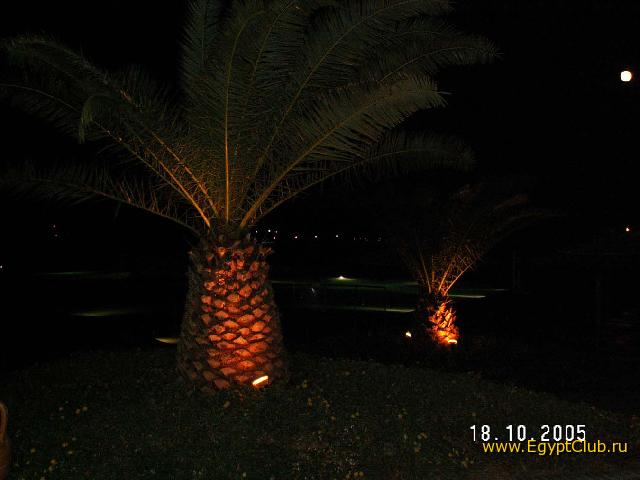 ����. ������ � ��������