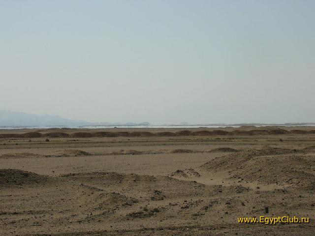 ������ �����