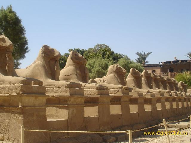 ���������� ����