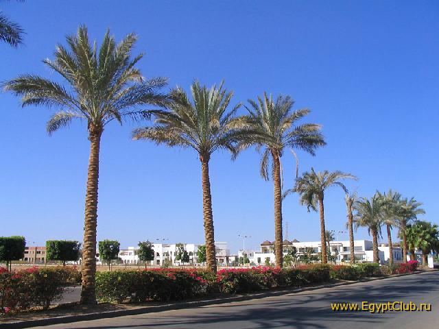 ������ �� ����