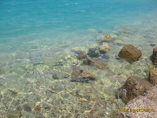 ������ ����..