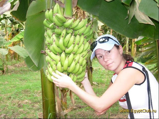 ��������� ������