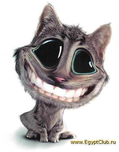 kat-smile
