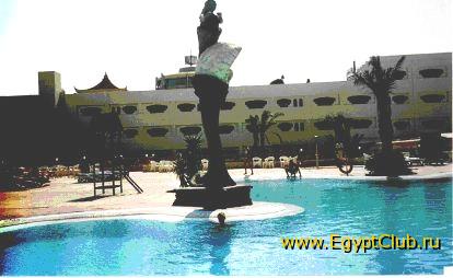 ������� ����� Sea Gull club