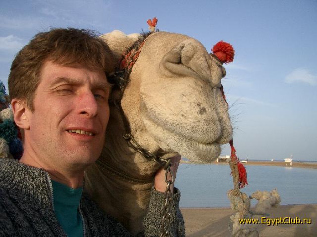 ������ :)