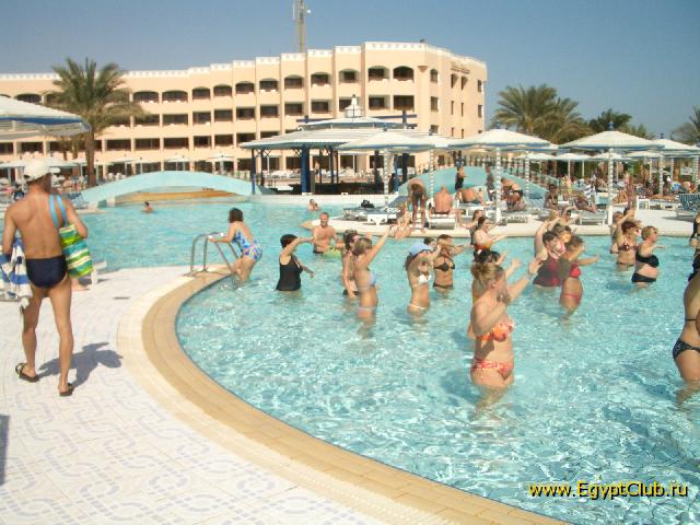 A�����������. ����� Beach Albatros