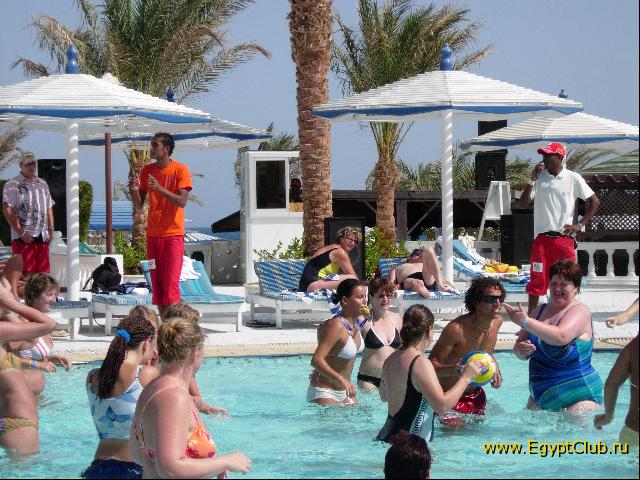 ������ ���� � �����������: ������ � ����. ����� Beach Albatros.