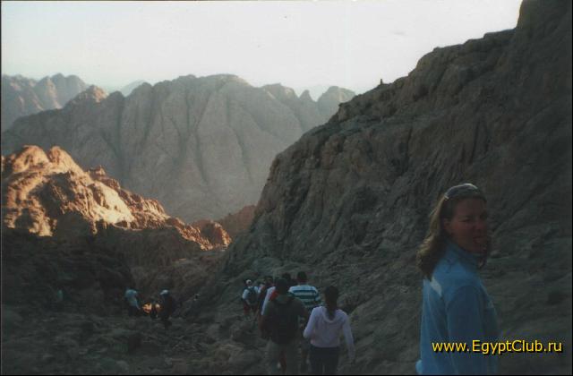 ������ ����� ,,