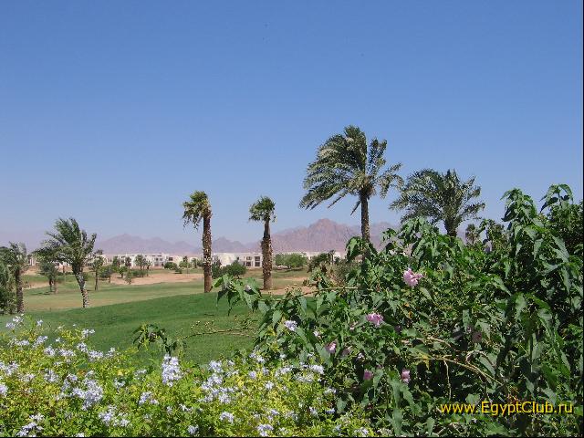 �����-����