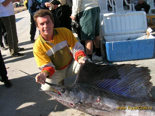 ������� � ������