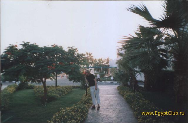 ����������