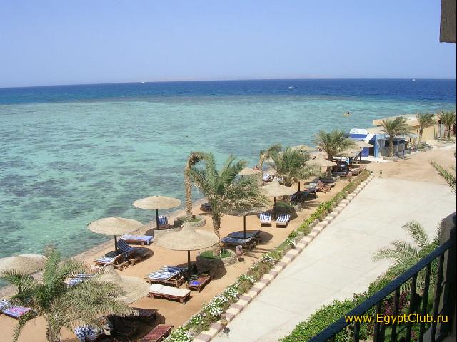 ����� ������ ������� ������