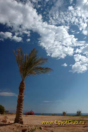 �������� ��������.