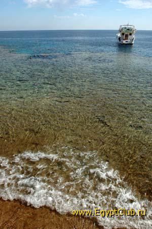 ���������.