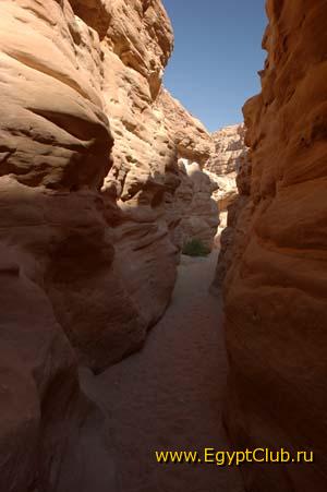 ��� 36 �������.