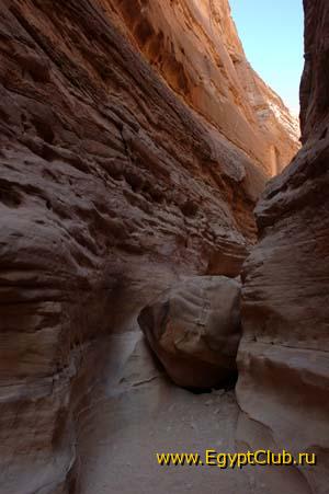 ����� �����.