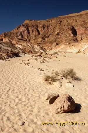 ���������� �������.