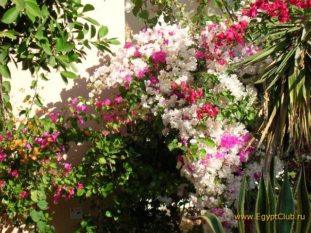 ��� ������ � ������