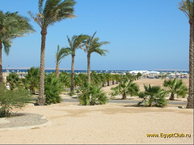 ������ �� ����