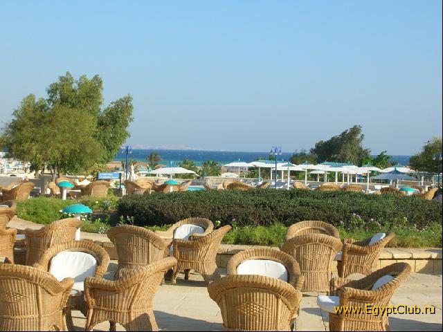 ����������� ����������