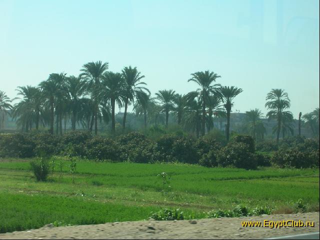 ����������� ���